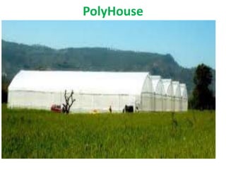 PolyHouse
 