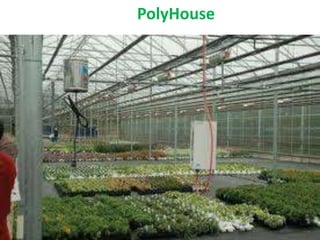 PolyHouse
 
