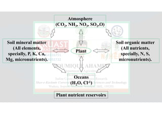 Atmosphere
(CO2, NH3, NO3, SO2,O)
Oceans
(H2O, Cl-1)
Plant
Soil organic matter
(All nutrients,
specially, N, S,
micronutrients).
Soil mineral matter
(All elements,
specially, P, K, Ca,
Mg, micronutrients).
Plant nutrient reservoirs
 