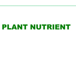 PLANT NUTRIENT
 
