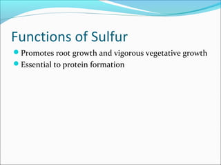 Functions of Sulfur
Promotes root growth and vigorous vegetative growth
Essential to protein formation
 