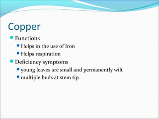 Copper
Functions
Helps in the use of Iron
Helps respiration
Deficiency symptoms
young leaves are small and permanently wilt
multiple buds at stem tip
 