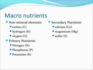 Macro nutrients
Non-mineral elements
carbon (C)
hydrogen (H)
oxygen (O)
Primary Nutrients
Nitrogen (N)
Phosphorus (P)
Potassium (K)
Secondary Nutrients
calcium (Ca)
magnesium (Mg)
sulfur (S)
 