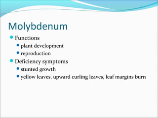 Molybdenum
Functions
plant development
reproduction
Deficiency symptoms
stunted growth
yellow leaves, upward curling leaves, leaf margins burn
 