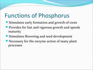 Functions of Phosphorus
Stimulates early formation and growth of roots
Provides for fast and vigorous growth and speeds
maturity
Stimulates flowering and seed development
Necessary for the enzyme action of many plant
processes
 