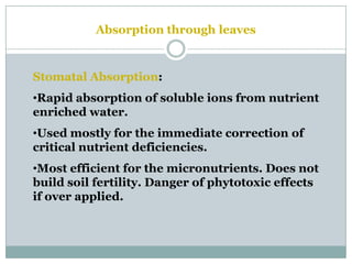 Stomatal Absorption:
•Rapid absorption of soluble ions from nutrient
enriched water.
•Used mostly for the immediate correction of
critical nutrient deficiencies.
•Most efficient for the micronutrients. Does not
build soil fertility. Danger of phytotoxic effects
if over applied.
Absorption through leaves
 