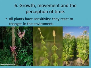 6. Growth, movement and the
           perception of time.
• All plants have sensitivity: they react to
  changes in the enviroment.
 