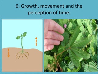 6. Growth, movement and the
      perception of time.
 