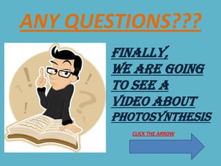 ANY QUESTIONS???
        FINALLY,
        WE ARE GOING
        TO SEE A
        VIDEO ABOUT
        PHOTOSYNTHESIS
           CLICK THE ARROW
 