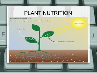 PLANT NUTRITION
 