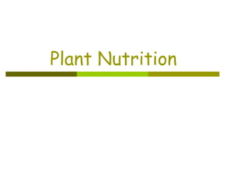 Plant Nutrition 
 