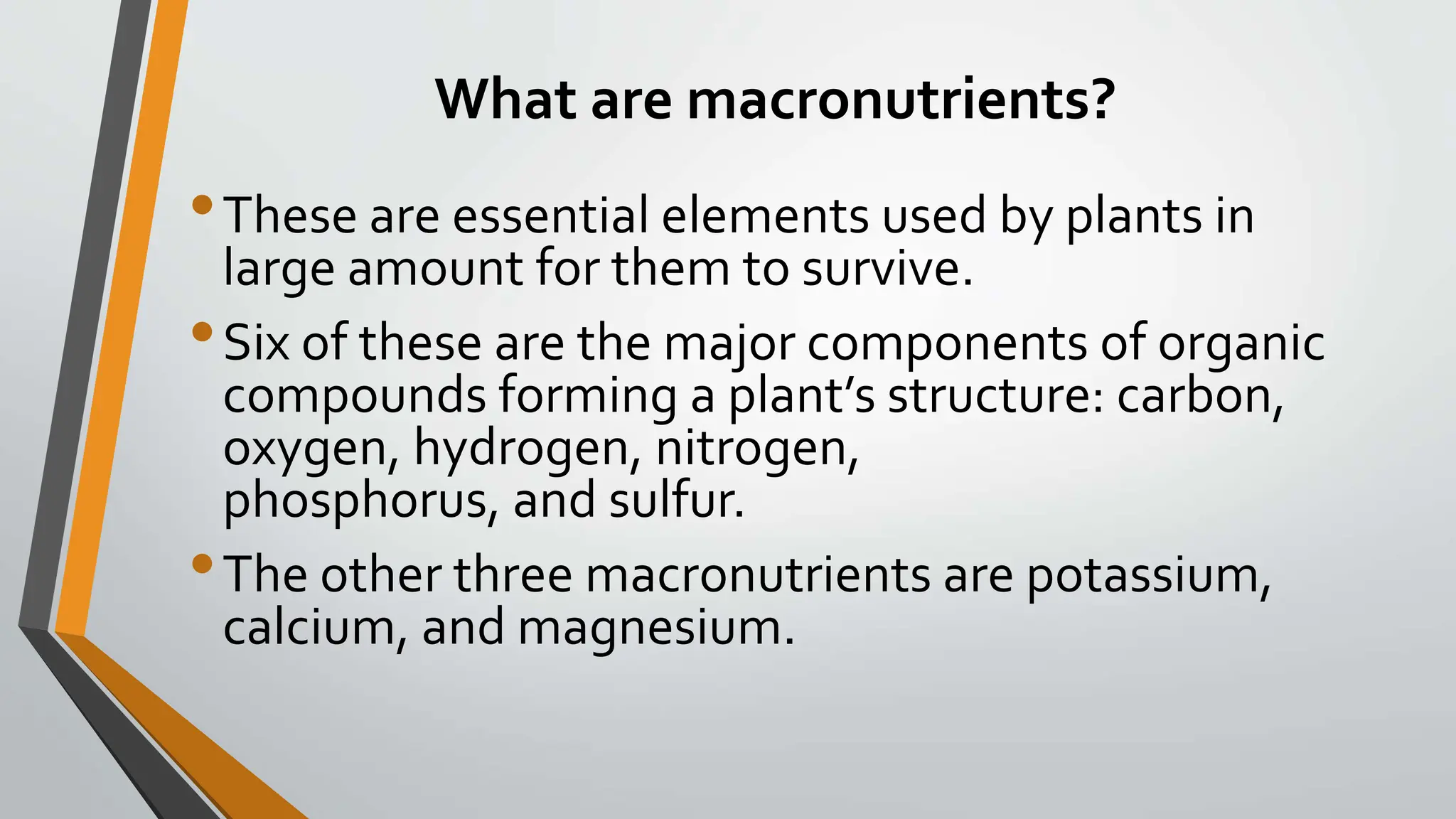Plant Nutrition 025816 Pptx