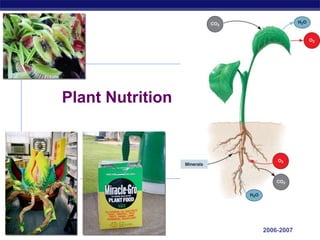 AP Biology 2006-2007
Plant Nutrition
 