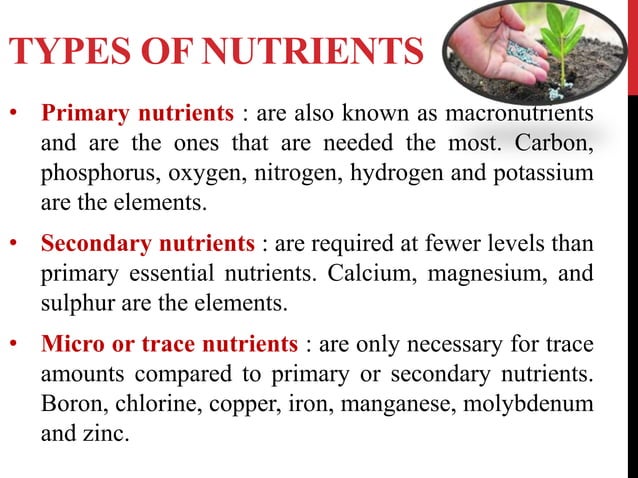 plant nutrition, their role and deficiency symptoms - balanced ...