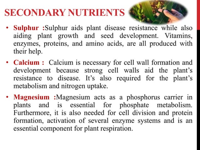 plant nutrition, their role and deficiency symptoms - balanced ...
