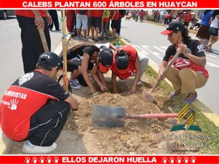 Plantío de árboles en Misión Caleb UPN