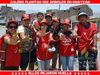 Plantío de árboles en Misión Caleb UPN