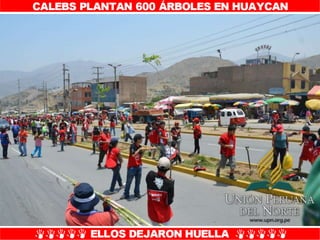 Plantío de árboles en Misión Caleb UPN