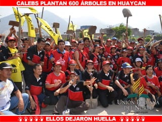 Plantío de árboles en Misión Caleb UPN