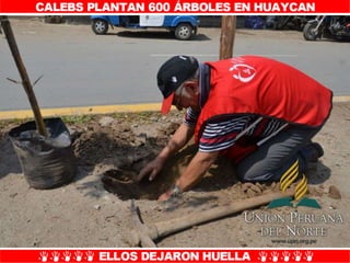 Plantío de árboles en Misión Caleb UPN