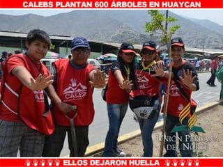 Plantío de árboles en Misión Caleb UPN