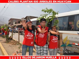 Plantío de árboles en Misión Caleb UPN