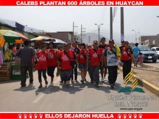 Plantío de árboles en Misión Caleb UPN