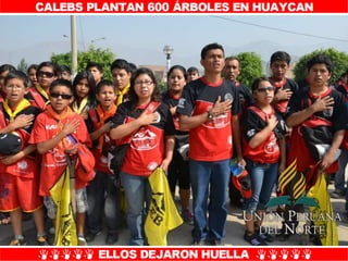 Plantío de árboles en Misión Caleb UPN