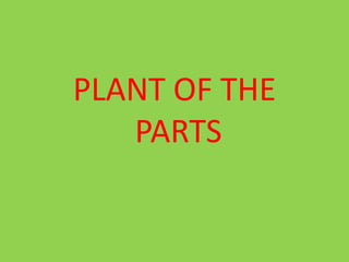 PLANT OF THE
PARTS

 