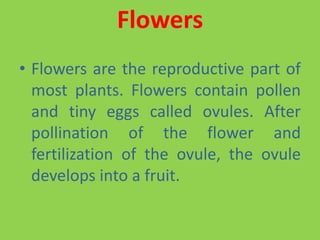 Flowers
• Flowers are the reproductive part of
most plants. Flowers contain pollen
and tiny eggs called ovules. After
pollination of the flower and
fertilization of the ovule, the ovule
develops into a fruit.