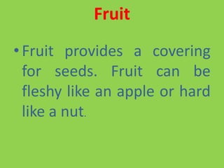 Fruit
• Fruit provides a covering
for seeds. Fruit can be
fleshy like an apple or hard
like a nut.