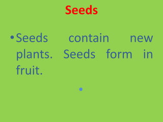 Seeds
•Seeds contain new
plants. Seeds form in
fruit.
•