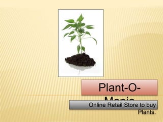 Plant-O-
ManiaOnline Retail Store to buy
Plants.
 