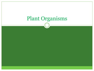Plant Organisms
 