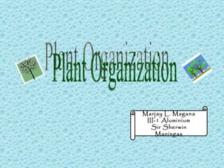 Plant Organization Marjay L. Magana III-1 Aluminium Sir Sherwin Maningas 