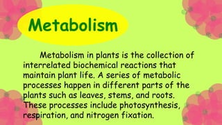 Respiration
Respiration in plants is the metabolic
counter process of the photosynthesis
whereas the gases (CO2 and O2) en...