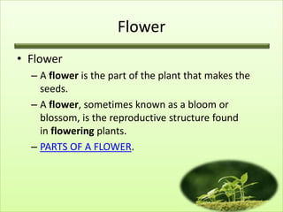Flower
• Flower
– A flower is the part of the plant that makes the
seeds.
– A flower, sometimes known as a bloom or
blossom, is the reproductive structure found
in flowering plants.
– PARTS OF A FLOWER.
 