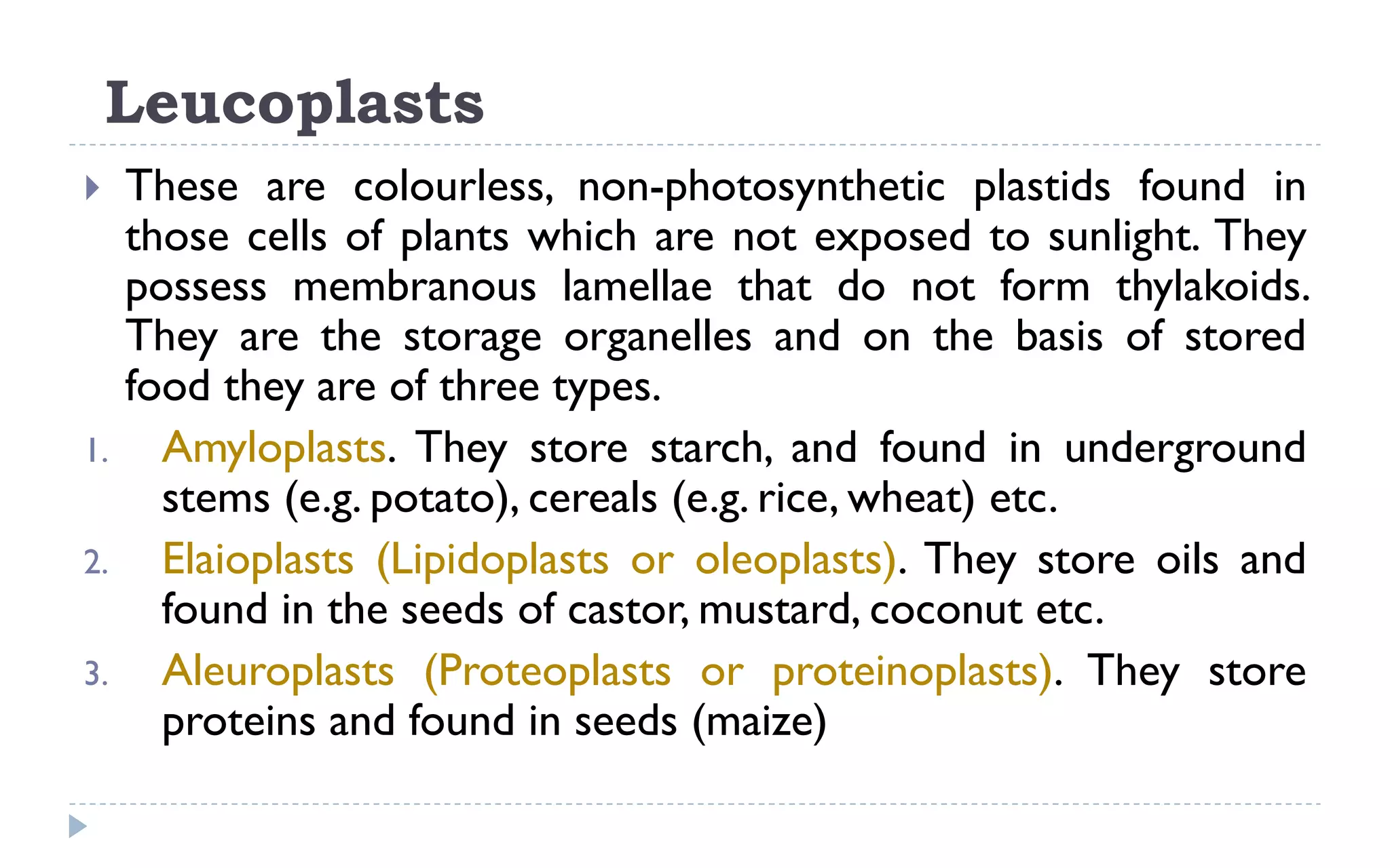 Leucoplasts
 These are colourless, non-photosynthetic plastids found in
those cells of plants which are not exposed to sunlight. They
possess membranous lamellae that do not form thylakoids.
They are the storage organelles and on the basis of stored
food they are of three types.
1. Amyloplasts. They store starch, and found in underground
stems (e.g. potato), cereals (e.g. rice, wheat) etc.
2. Elaioplasts (Lipidoplasts or oleoplasts). They store oils and
found in the seeds of castor, mustard, coconut etc.
3. Aleuroplasts (Proteoplasts or proteinoplasts). They store
proteins and found in seeds (maize)
 