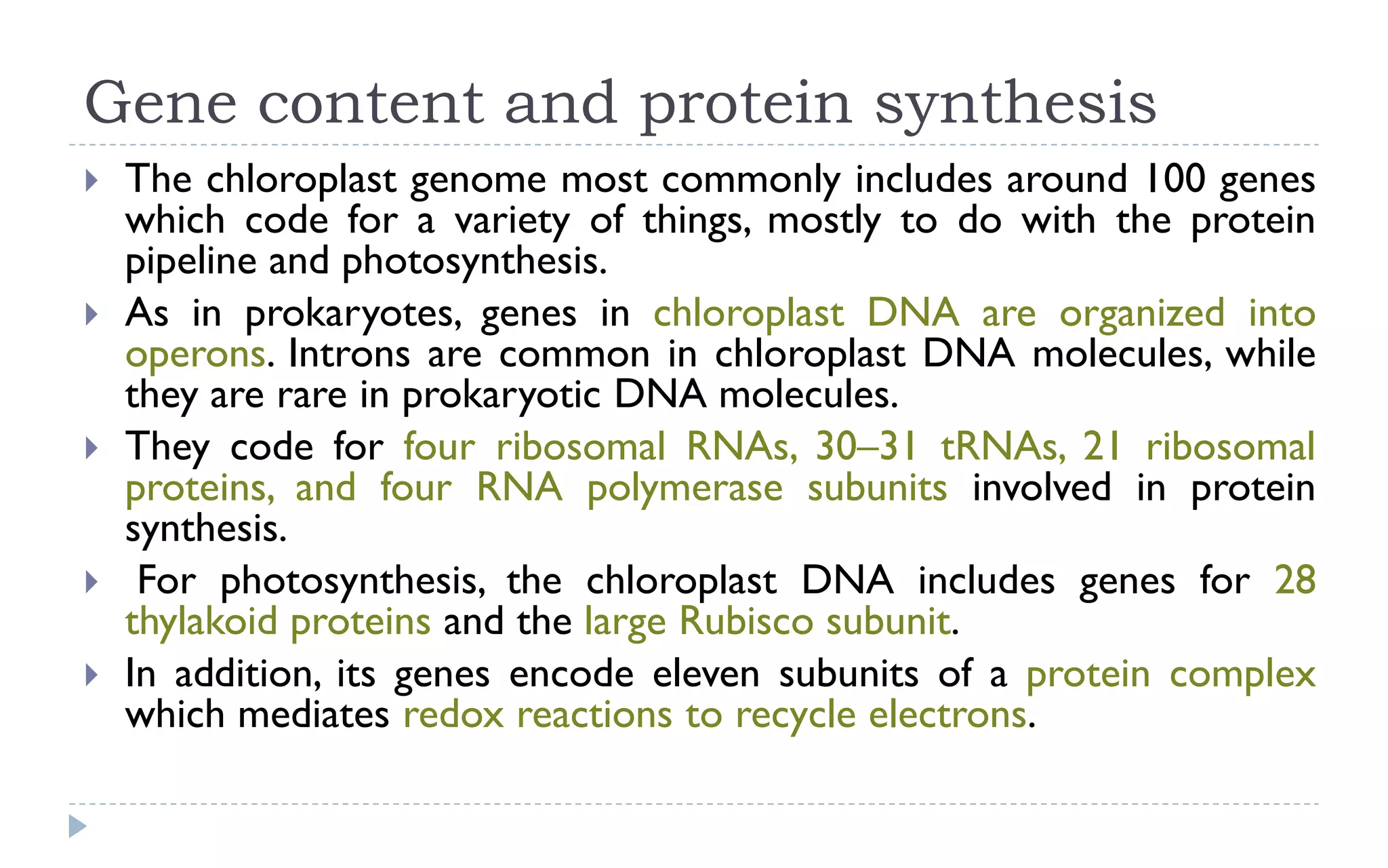 Gene content and protein synthesis
 The chloroplast genome most commonly includes around 100 genes
which code for a variety of things, mostly to do with the protein
pipeline and photosynthesis.
 As in prokaryotes, genes in chloroplast DNA are organized into
operons. Introns are common in chloroplast DNA molecules, while
they are rare in prokaryotic DNA molecules.
 They code for four ribosomal RNAs, 30–31 tRNAs, 21 ribosomal
proteins, and four RNA polymerase subunits involved in protein
synthesis.
 For photosynthesis, the chloroplast DNA includes genes for 28
thylakoid proteins and the large Rubisco subunit.
 In addition, its genes encode eleven subunits of a protein complex
which mediates redox reactions to recycle electrons.
 