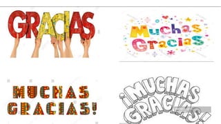 Plan torogoz sonsonate insumo