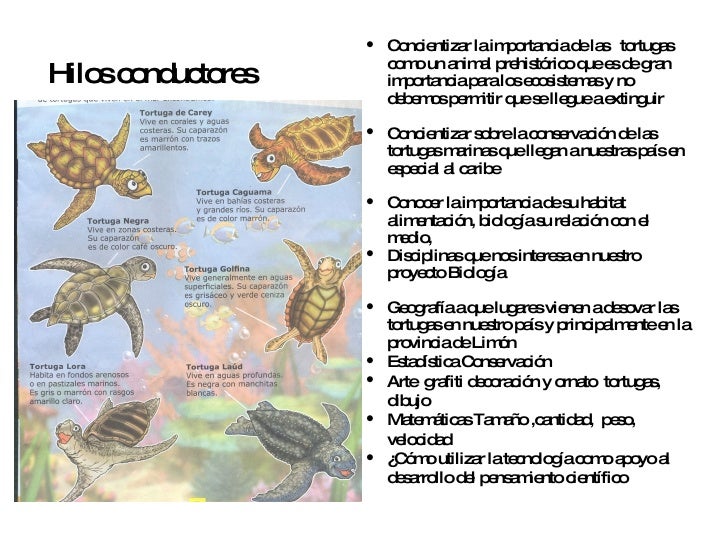 Plan Tortugas Epc