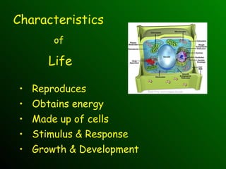 Characteristics  of  Life ,[object Object],[object Object],[object Object],[object Object],[object Object],Photo from: micro.magnet.fsu.edu  