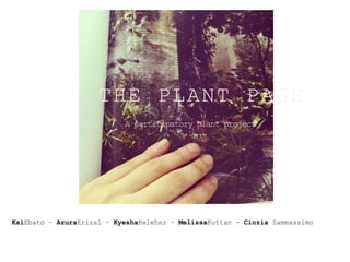 THE PLANT PAGE
                           A participatory plant project




KaiEbato – AzuraErizal – KyeshaKeleher – MelissaKuttan - Cinzia Sammassimo
 