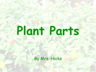 Plant Parts By Mrs. Hicks 