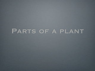 Parts of a plant
 