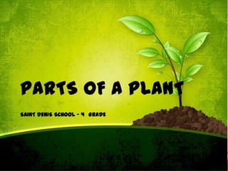 PARTS OF A PLANT
SAINT DENIS SCHOOL – 4 GRADE

 