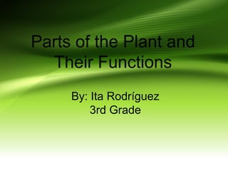 Parts of the Plant and 
Their Functions 
By: Ita Rodríguez 
3rd Grade 
 