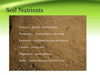Soil Nutrients 
Nitrogen – growth, photosynthesis 
Phosphorus – photosynthesis, flowering 
Potassium – build proteins, pre...