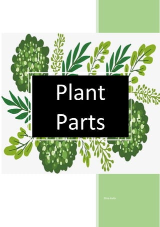 Dina Avila
Plant
Parts
 