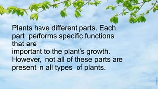 Plants have different parts. Each
part performs specific functions
that are
important to the plant’s growth.
However, not all of these parts are
present in all types of plants.
 